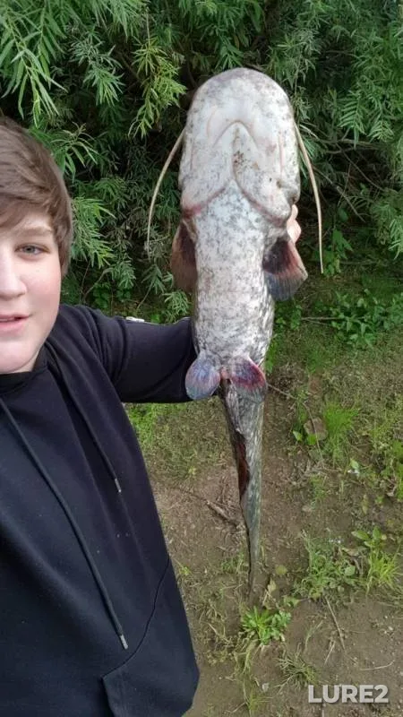 Сом — Шклянная, 12 июл. 2019 г.