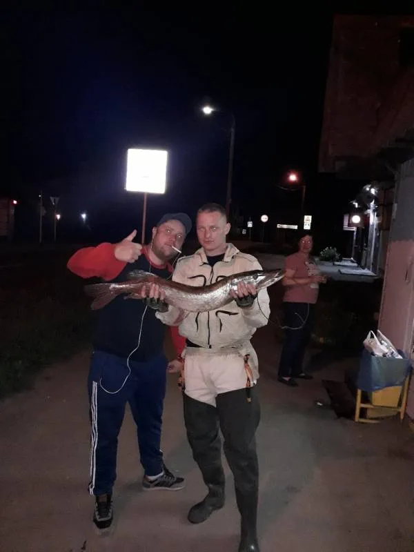 Щука