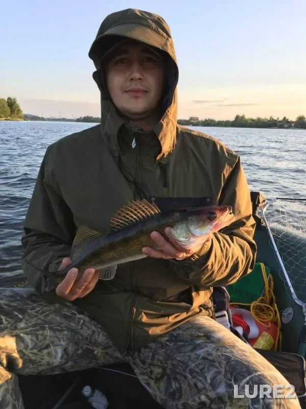 Судак — Десна, 12 июл. 2015 г.
