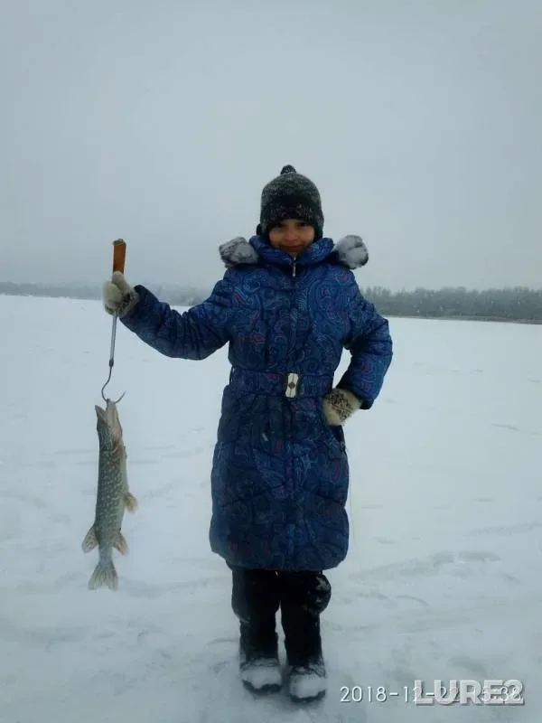 Щука