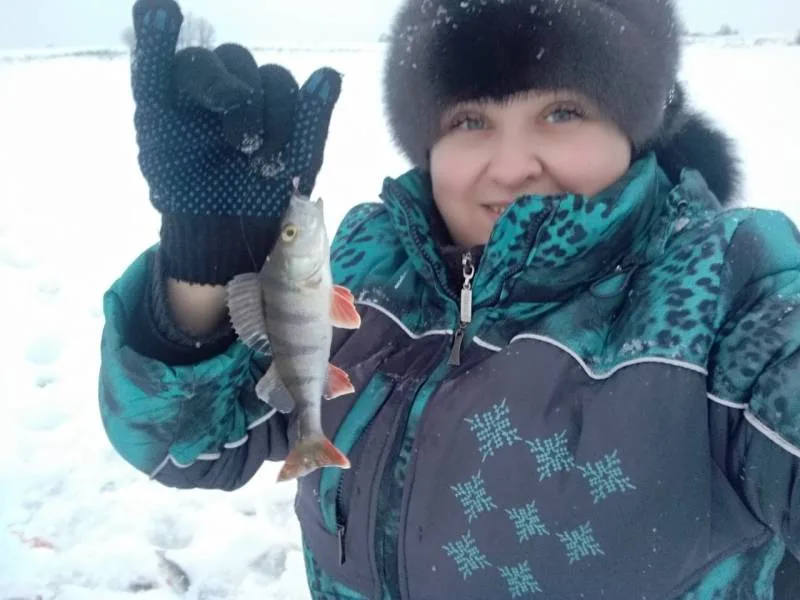 Окунь, Щука