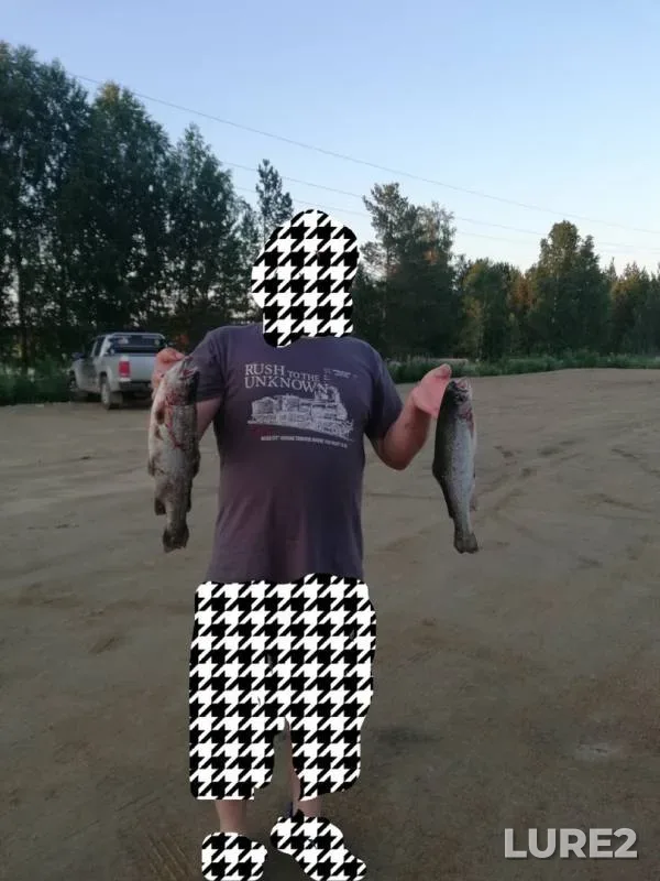 Карп — Коелга, 16 июл. 2018 г.