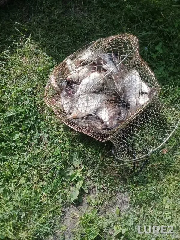 Карась — Ипкуль, 20 июн. 2019 г.