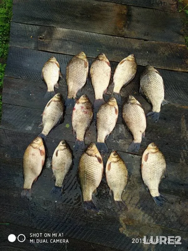 Карась — Есіл, 27 июн. 2019 г.