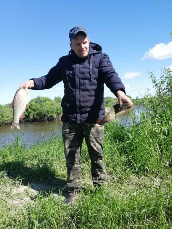 Налим, Карась
