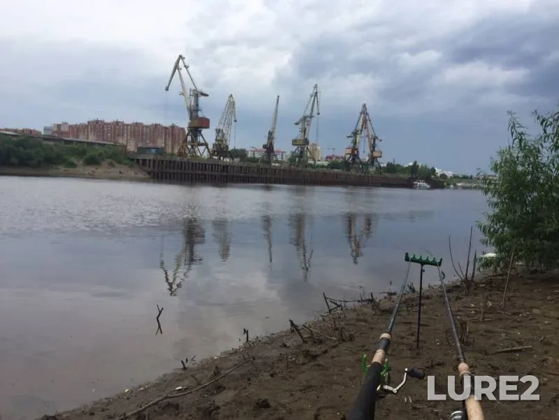 Лещ, Язь — Тура, 11 июл. 2019 г.