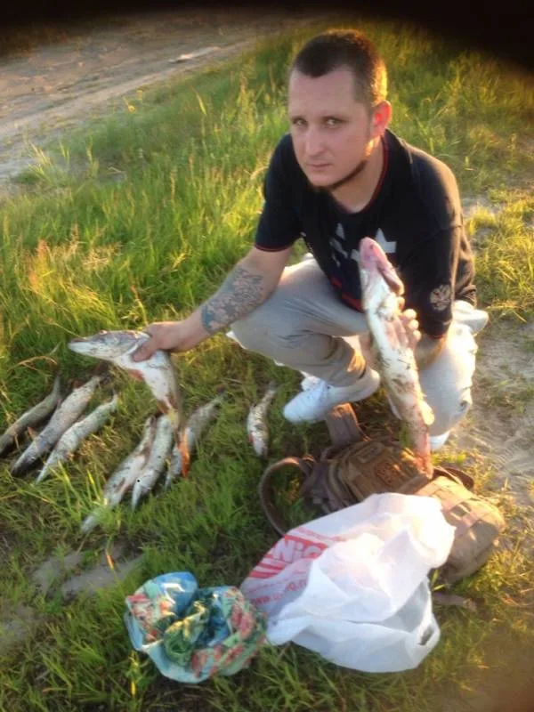 Щука, Судак
