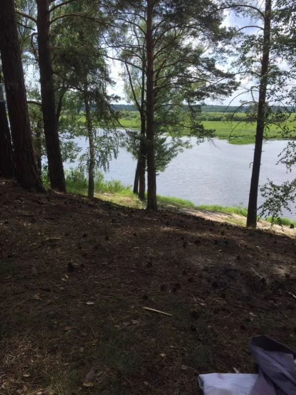 Окунь, Щука