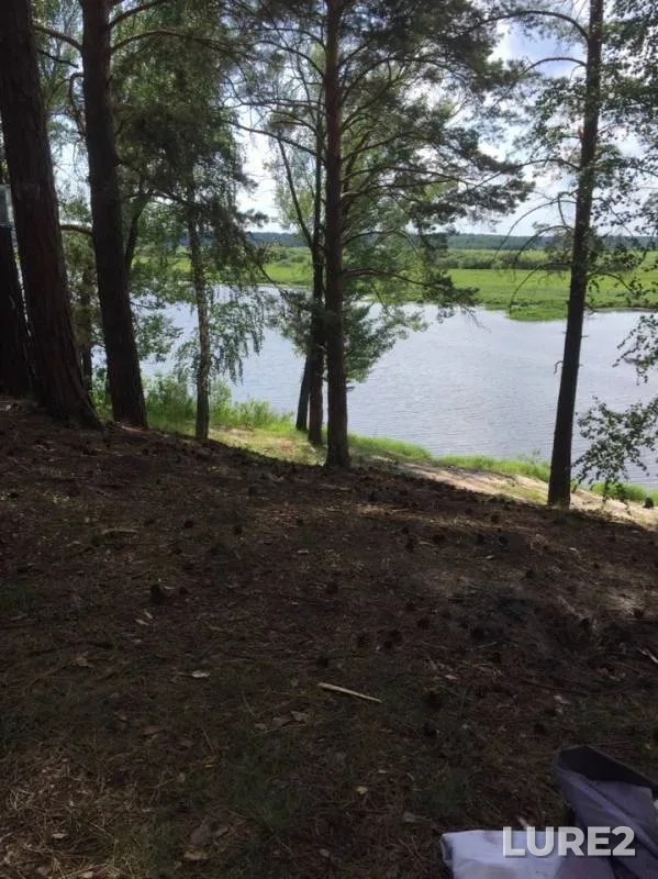 Окунь, Щука — Кривое, 30 июл. 2019 г.