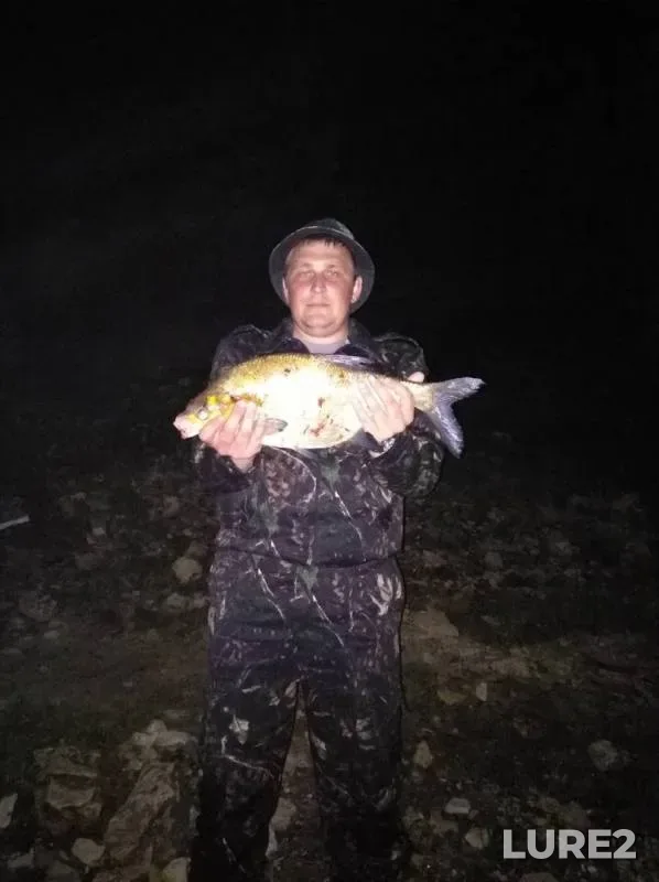 Лещ — Волга, 22 июн. 2018 г.