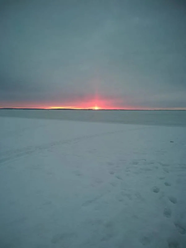 Окунь, Плотва