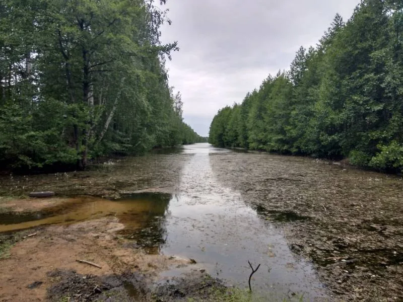 Окунь