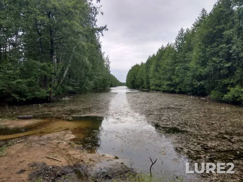 Окунь — Силикатное озеро (карьер), 17 июн. 2019 г.