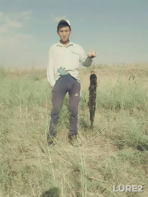 Щука — Западно-Казахстанская область, 29 авг. 2017 г.