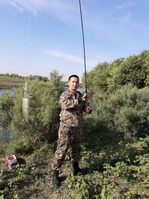 Жерех, Окунь