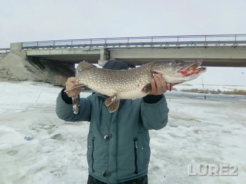 Щука — Западно-Казахстанская область, 17 мар. 2018 г.