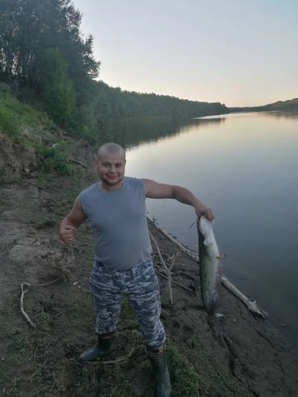 Сом