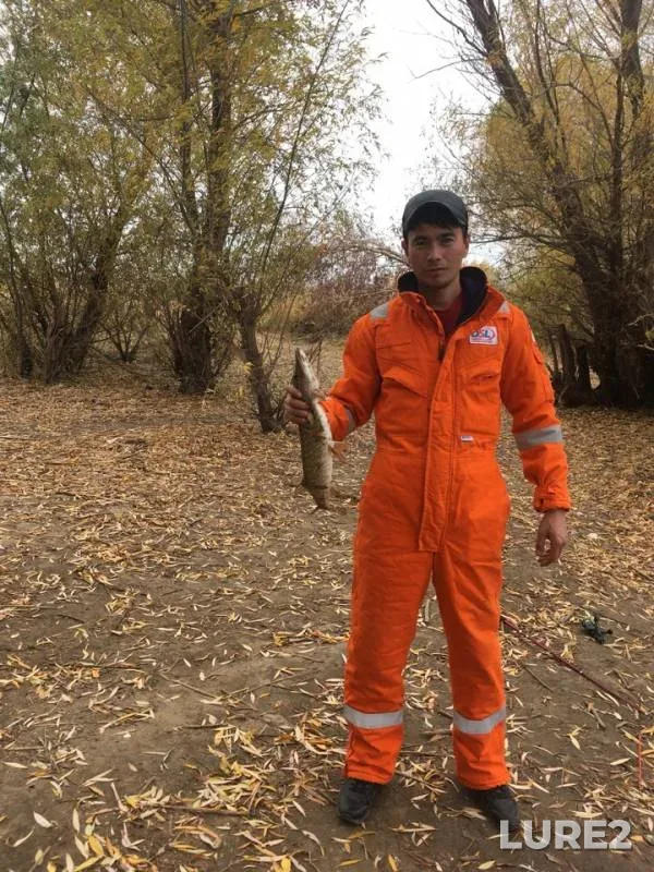 Щука — Западно-Казахстанская область, 24 окт. 2018 г.