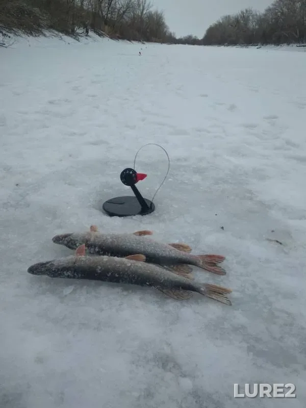Щука — Шаган, 13 дек. 2018 г.