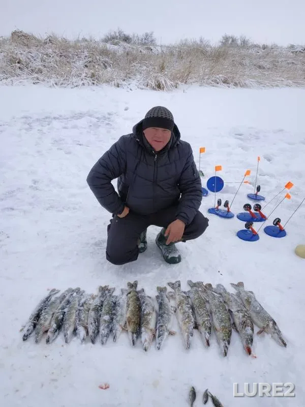 Щука — Кировское, 16 дек. 2018 г.