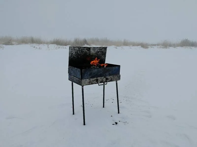 Щука