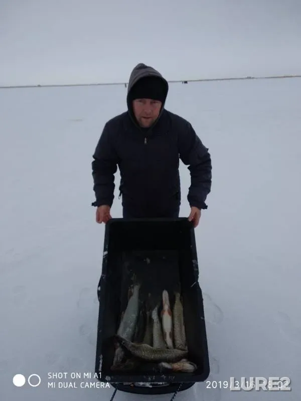 Щука — Кушум, 17 мар. 2019 г.