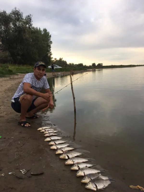 Карась