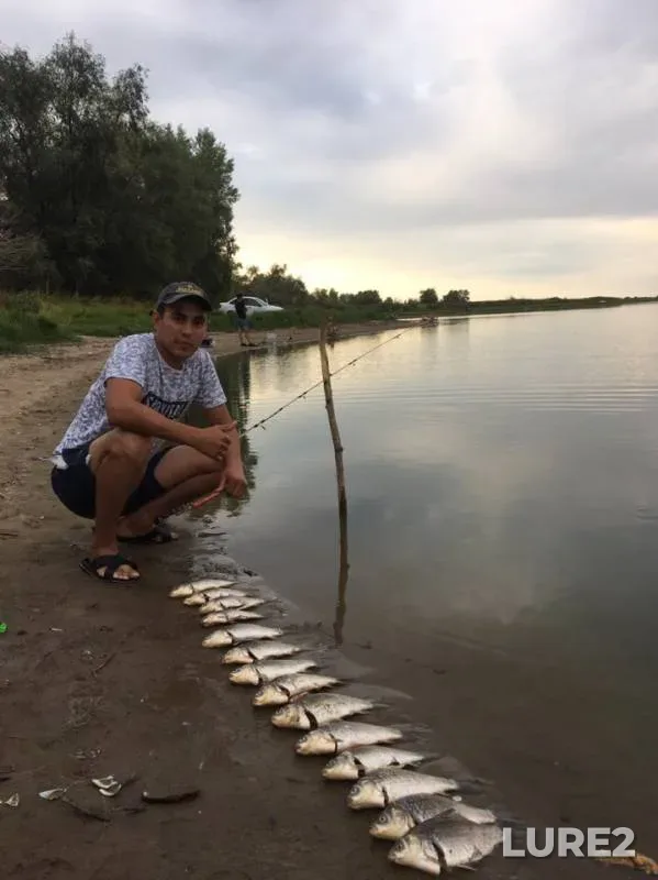 Карась — Западно-Казахстанская область, 19 авг. 2019 г.