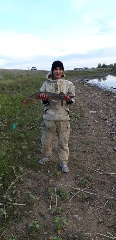 Щука