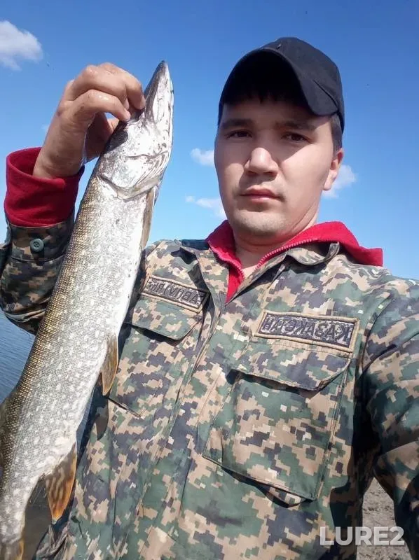 Щука — Западно-Казахстанская область, 7 сент. 2019 г.