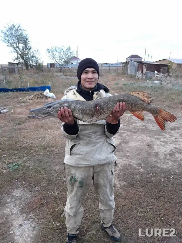 Щука — Шаган, 24 сент. 2019 г.