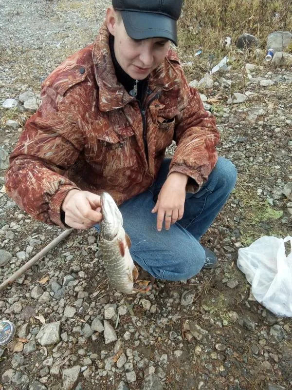 Щука