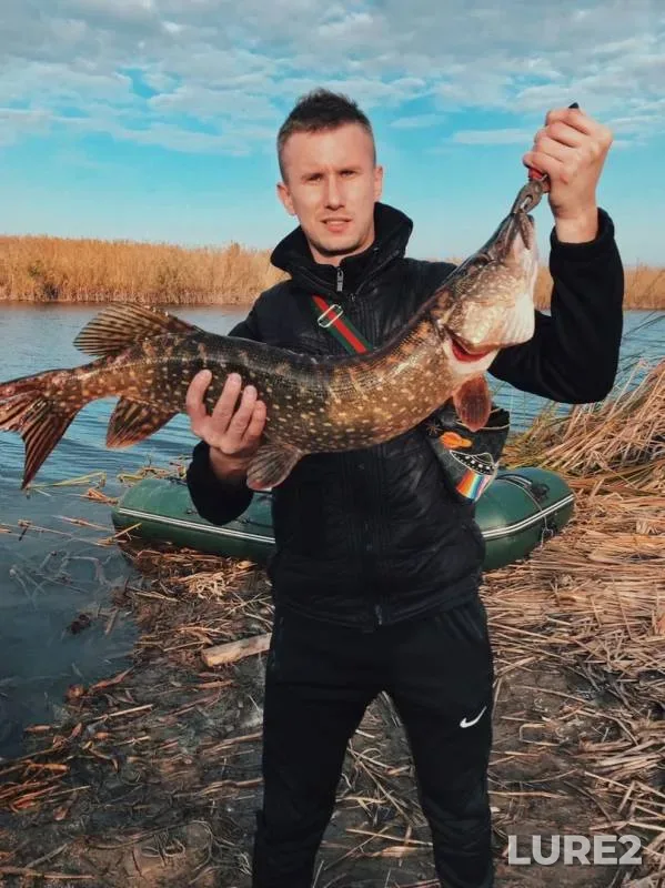 Щука — Грачи 2-е, 24 окт. 2019 г.