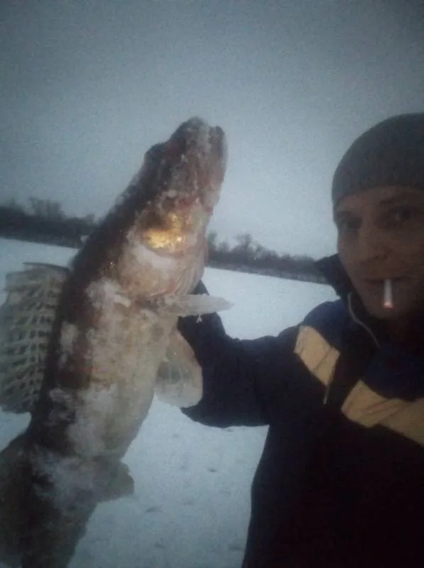Судак