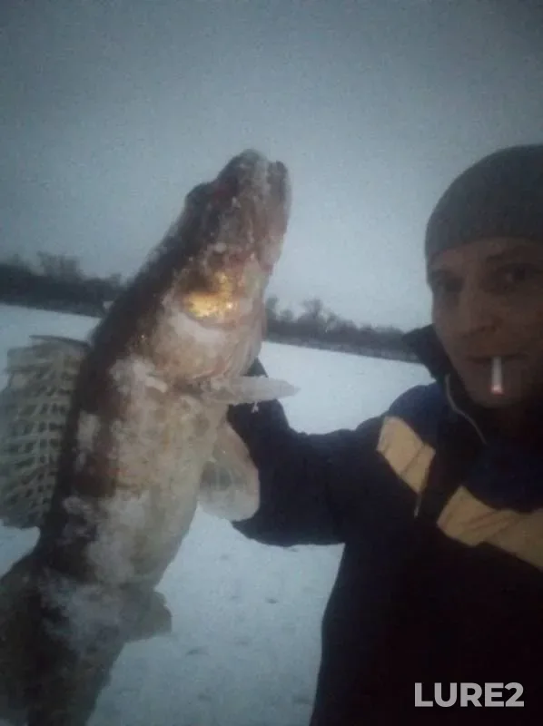 Судак — Большой Кинель, 04 дек. 2018 г.