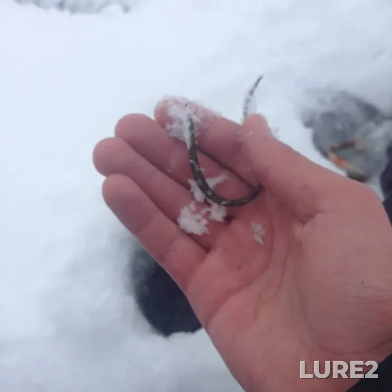 Окунь, Щука — Самарская область, Приволжский район, 09 дек. 2018 г.