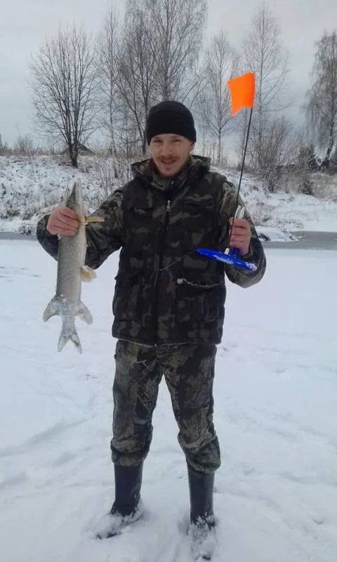 Щука