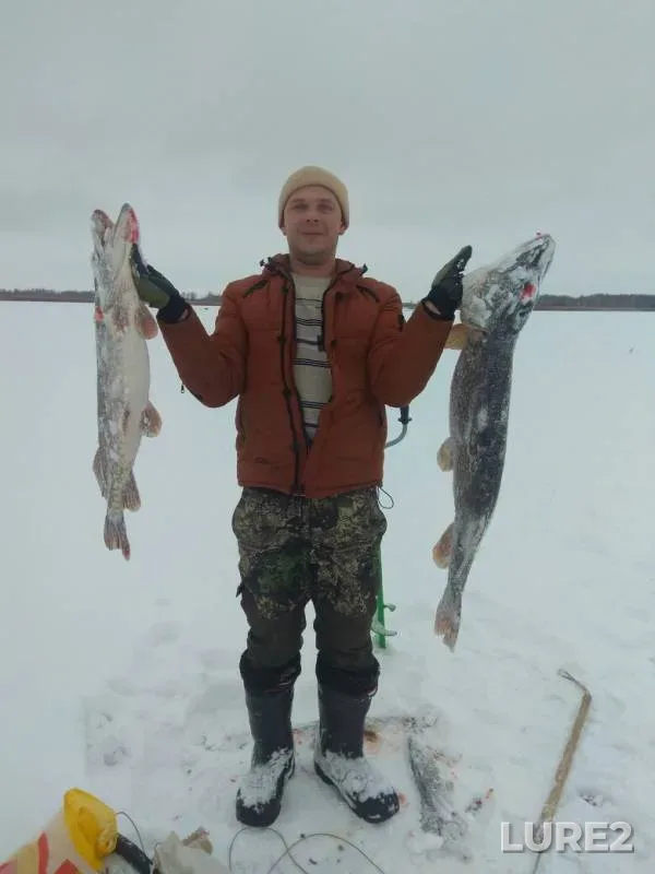 Щука — Азевка, 10 дек. 2018 г.