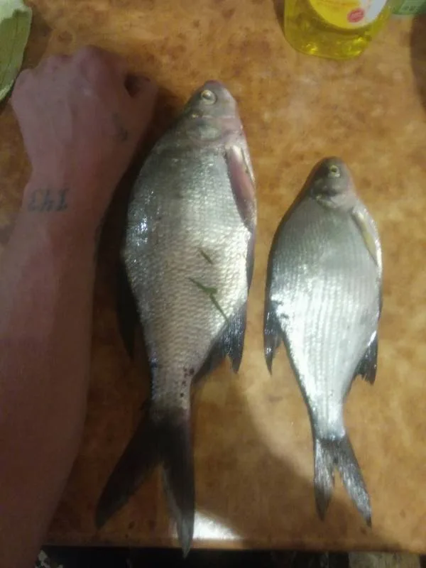 Лещ
