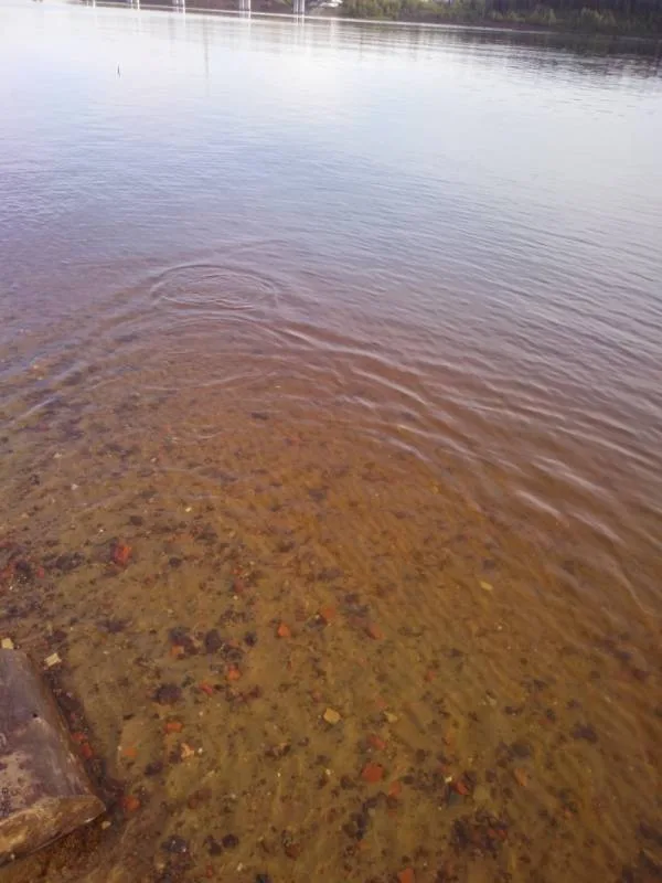 Лещ