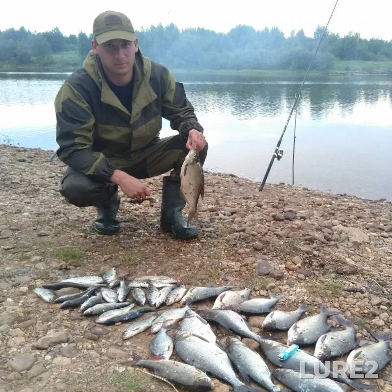Лещ — Дергачка, 26 июн. 2019 г.