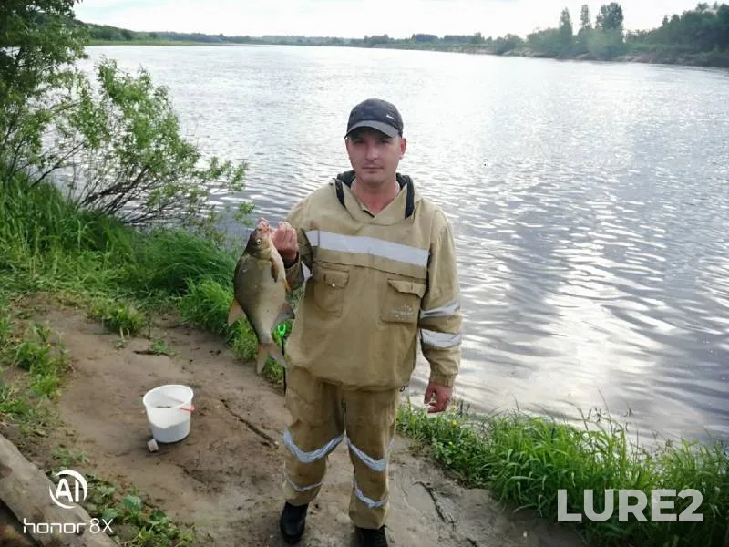 Окунь, Щука — Колва, 01 июл. 2019 г.