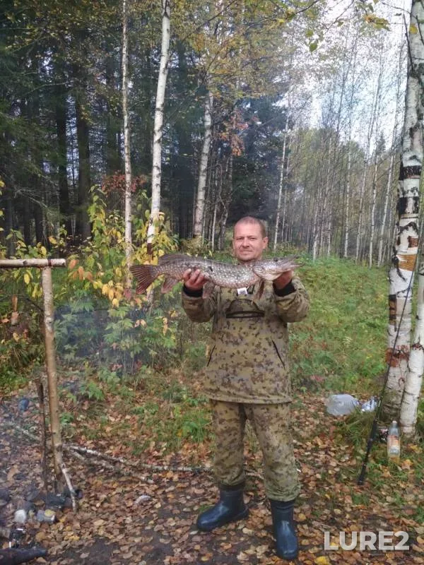 Щука — Вишерка, 16 сент. 2019 г.