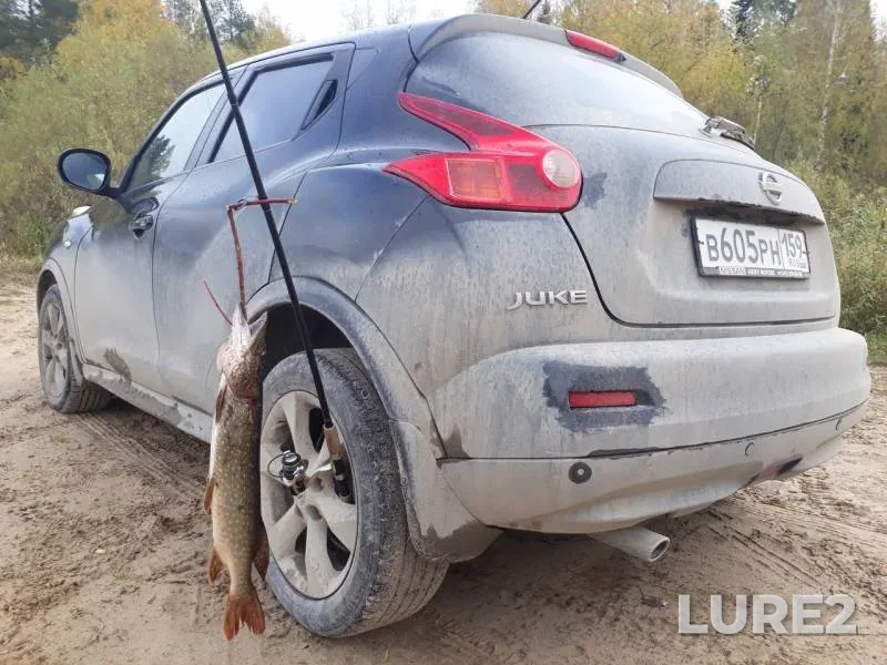 Щука — Южная Кельтма, 25 сент. 2019 г.