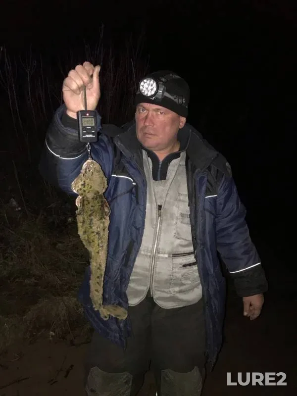 Налим — Кама, 25 окт. 2019 г.