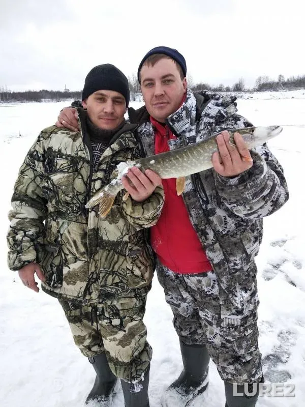 Щука — Толыч, 03 нояб. 2019 г.