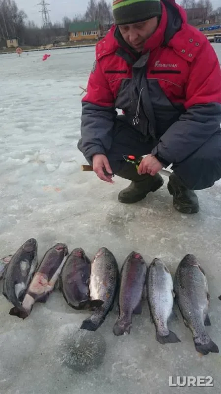 Форель — Московская область, Раменский городской округ, 07 апр. 2019 г.