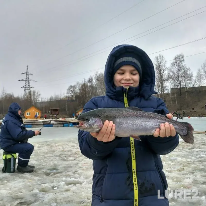 Форель — Московская область, Раменский городской округ, 07 апр. 2019 г.
