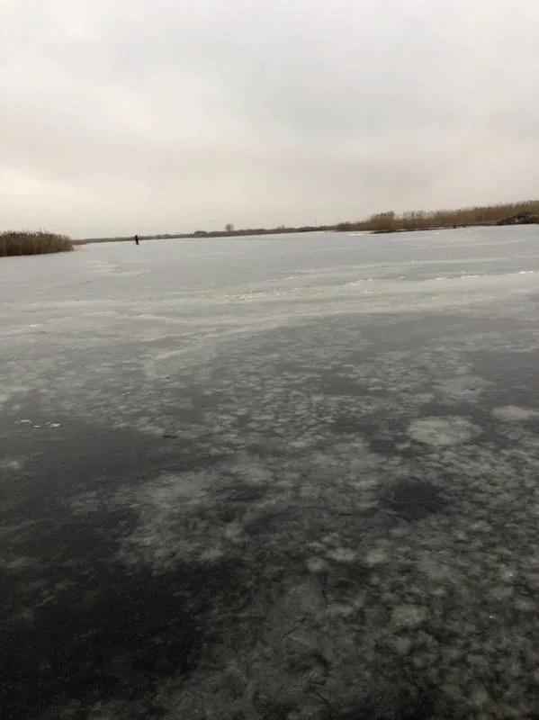 Окунь
