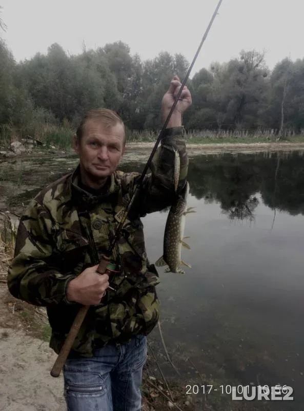 Щука — Київська область, 01 окт. 2017 г.